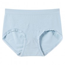 102113 无缝女士中腰内裤