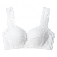 101069 厚杯绢丝文胸（软钢圈）